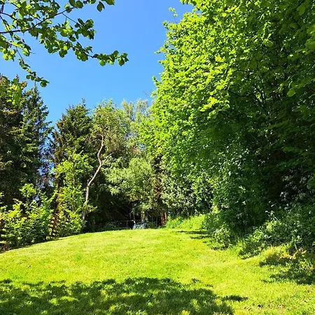 Hébergement de vacances La Ptit Marie Houffalize